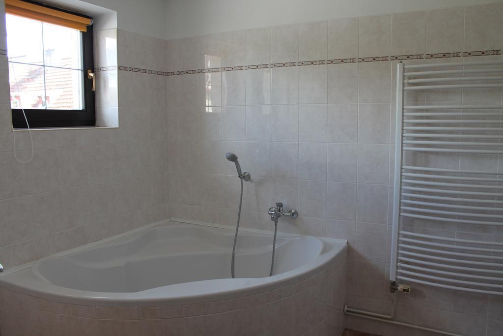U Ruze Guest house Sezimovo Usti