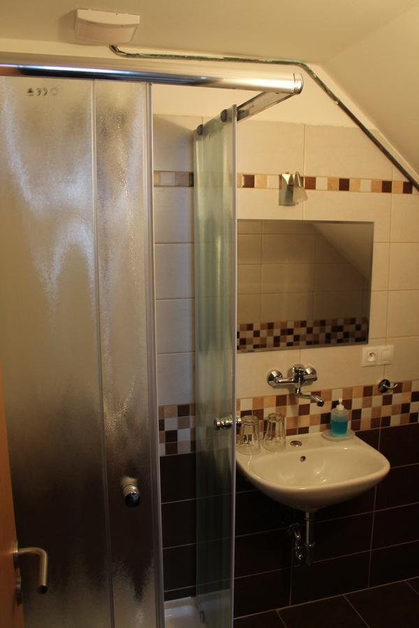Guest house U Ruze Sezimovo Usti